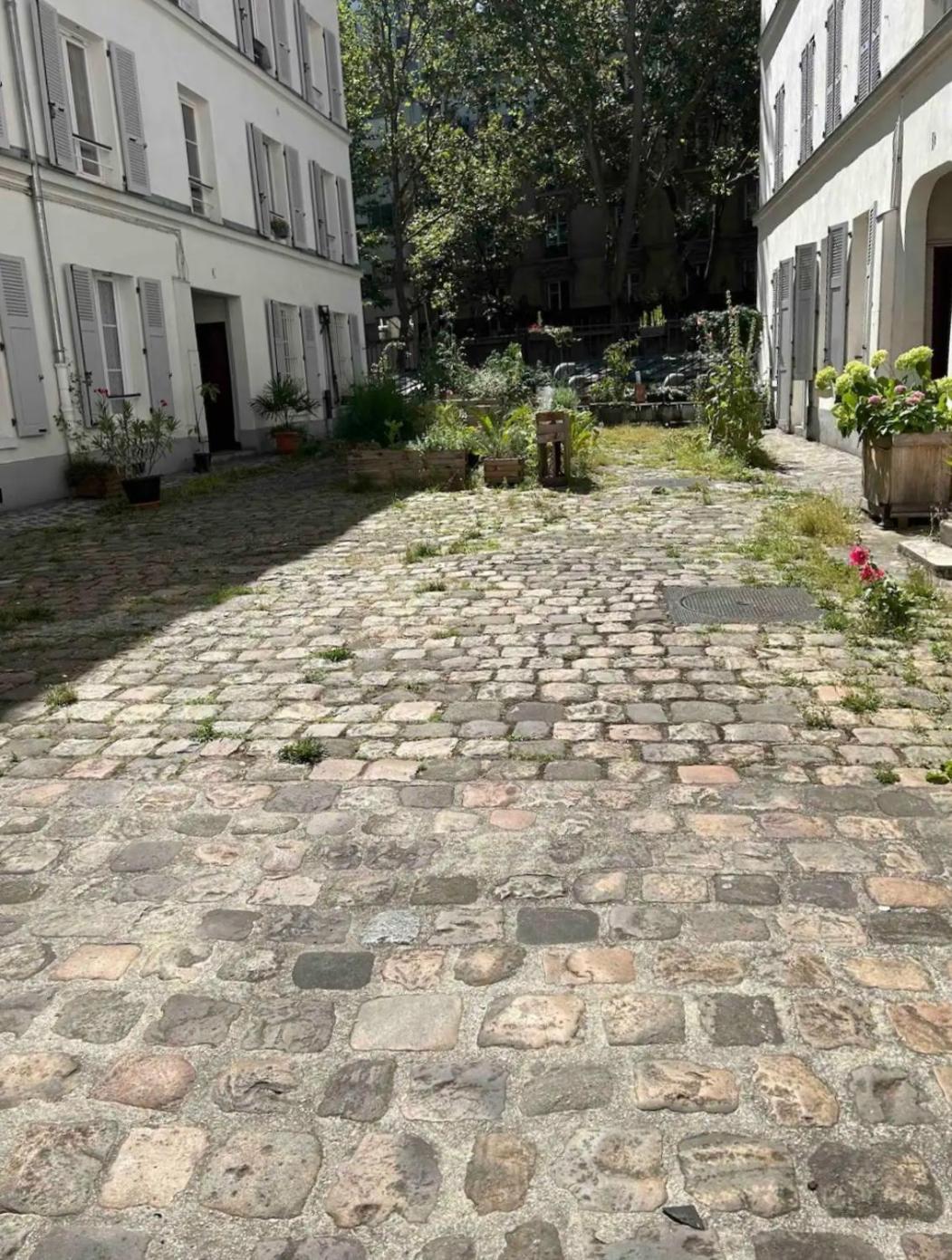 Sasha * Paris